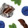 Bănuți de ciocolată crocantă cu lapte și mentă (2kg/300buc) - imagine 2